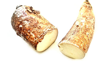 Cassava Root